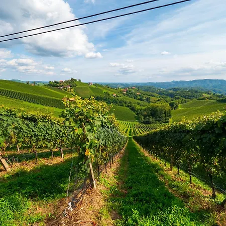 Lieperts Cafe Dinner Boutiqe-zimmer Suedsteiermark Leutschach