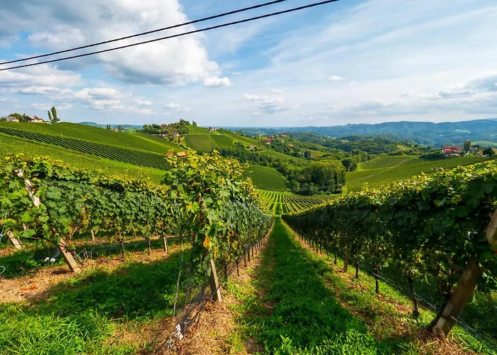 Lieperts Cafe Dinner Boutiqe-zimmer Suedsteiermark 里欧查赫